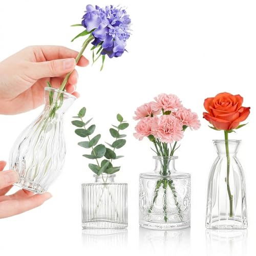 Glass Bud Vases Set of 4, 4 Sizes of Small Flower Vase for Party or Home Table Decorations