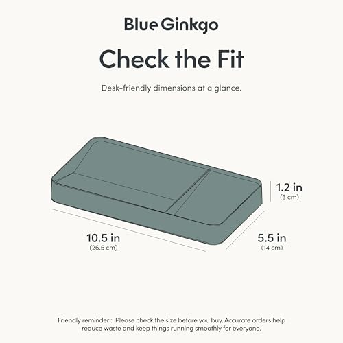 BLUE GINKGO Desk Tray – Korean-Made Organizer for Notes, Pens, Pencils, and Accessories (Double-sided, Green) - color: GREEN, size: TRAY