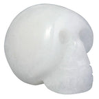 mookaitedecor 1 Inch White Jade Crystal Skull Sculpture Set of 5, Hand Carved Gemstone Statue Figurine Collectible Healing Reiki - color: White