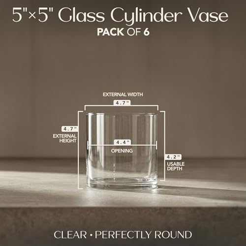 Glass Cylinder Flower Vase Centerpieces for Tables 5"x 5" Tall (4.2" Usable Depth) Set of 6 -Glass Vase Candle Holders Wedding Decor Vases for Centerpieces, Home & Event Decorations - Royal Imports - size: 5" wide x 5" tall - Set of 6