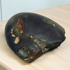 Rare Lakshmi Narayan Shaligram Shila Stone 2" inch from Gandaki River Nepal – 1 Pc Black Shaligram Ji for Pooja, Hindu Rituals, Spiritual Decor & Religious Gifts