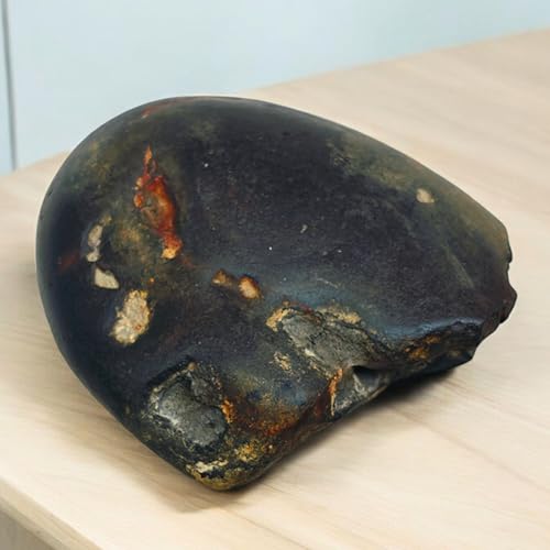 Rare Lakshmi Narayan Shaligram Shila Stone 2" inch from Gandaki River Nepal – 1 Pc Black Shaligram Ji for Pooja, Hindu Rituals, Spiritual Decor & Religious Gifts