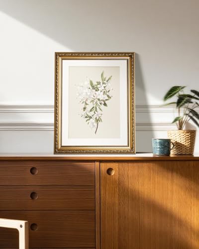 HUARCEY Vintage Floral Illustration Framed Canvas Wall Art 13x16 Inch, Ornate Embossed Gold Frame Classic Botanical Flower Print, Elegant Traditional Living Room Bedroom Office Home Decor - color: Azalea, size: 16"L x 13"W