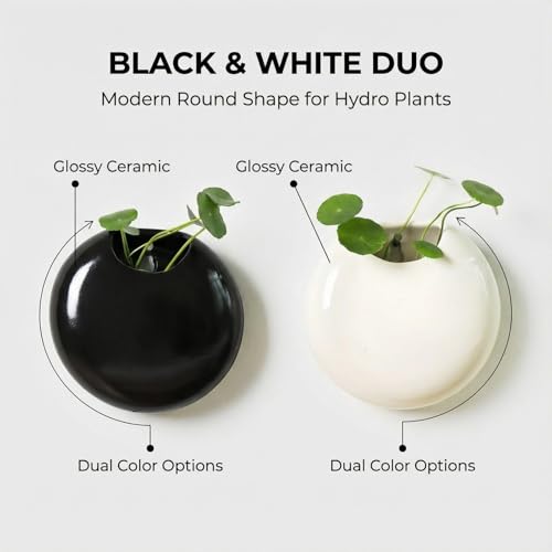 2 Pack Wall Hanging Planters, 4 Inch Round Ceramic Wall Mounted Planter Holder for Propagating Hydroponics Plants, Air Plants, Succulent (Plant NOT Included)