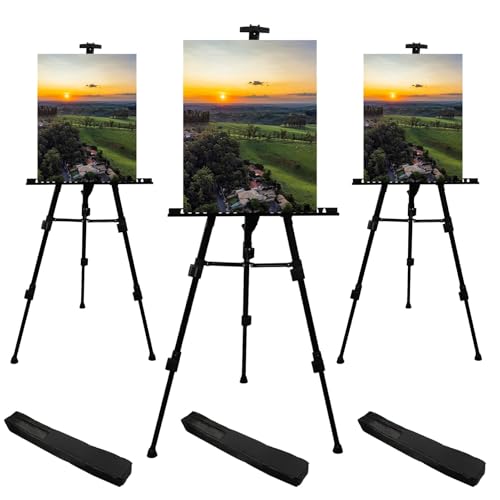 RRFTOK Artist Easel Stand,Metal Tripod Adjustable Easel for Painting Canvases Height from 21" to 66" with Reinforced Triangle,Carry Bag for Table-Top/Floor Drawing and Didplaying(3pack). - style: 66BL 3-pack