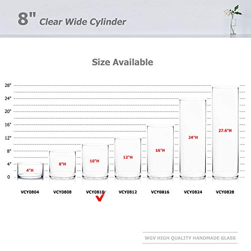 WGV Cylinder Vase, Width 8", Height 10", Clear Wide Large Diameter Flower Glassware, Floral Container, Planter Terrarium for Wedding Party Event, Home Accent Decor, 1 Piece - size: 8"x10"H