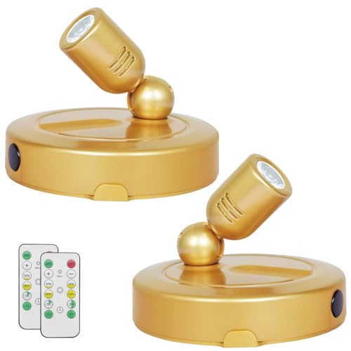 HAMVIDNE Indoor Spotlight, Battery Operated Spotlights with Remote, Picture Lights for Wall, Plant Tree Spotlight with Timer, Up Lights for Art Display Dartboard Painting Artwork Accent Frames-Gold - color: Gold