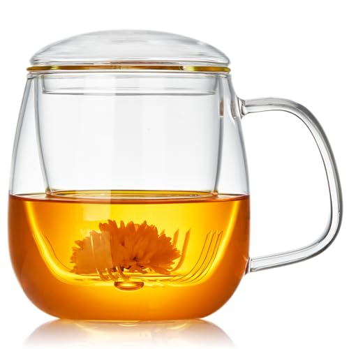 DOPUDO Large Glass Tea Cup, 25.6 oz Borosilicate Glass Tea Mug with Infuser and Lid, Clear Tea Cups for Brewing Scented Tea and Tea Bag. - size: 25.6OZ