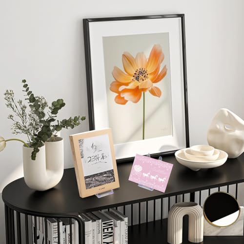 Frcctre 30 Pack Acrylic Easel Stand Plastic Plate Stands Adjustable Clear Acrylic Plate Holder Stand Decorative Stand for Display Plate Picture Book Artworks Home and Party Decoration