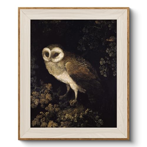VIYYIEA Framed Wall Art for Living Room, Owl Canvas Prints, Vintage Home Decor, Animals Painting Picture, Bathroom Wall Decor Gifts for Friends or Family - 12L x 10W - color: Animals-【Owl】, size: 12"L x 10"W