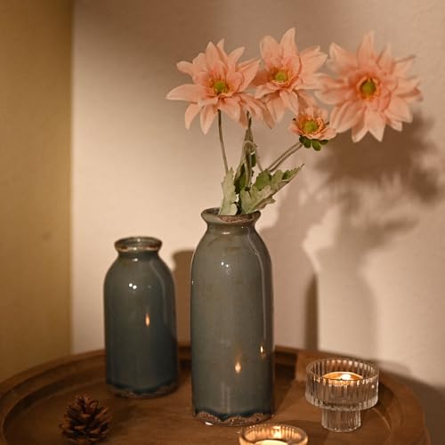 VICTOR & TERESA Blue and Grey Ceramic Vase Home Decor, Farmhouse Vases for Flowers, Flower Vase Set of 2, Rustic Decorative Vases for Pampas Grass, Table, Living Room, Shelf, Centerpieces, 8 inch - color: Blue and Grey