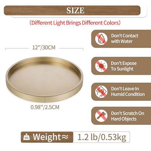 Hanobe Decorative Tray for Coffee Table: Round Champagne Gold Tray for Home Decor - 11.8" Modern Circle Candle Holder Plate for Living Room - color: Champagne Gold