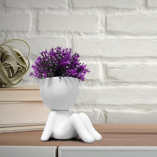 Zerzsy Mini Succulent Plant - Plants Gift - Cute Desktop Decoration Desk Decorations for Women Office - Potted Small Fake Plants for Indoor Decoration-Set of 1 - color: White-f