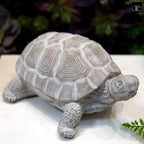 Modern Small Standing Turtle Figurine, Unique Cement Figurines, Handcrafted Decorative Washed Concrete Finish White Sculpture for Home, Garden,Office: 12.50"x9.00"x5.75"H - size: 12.50"x9.00"x5.75"H