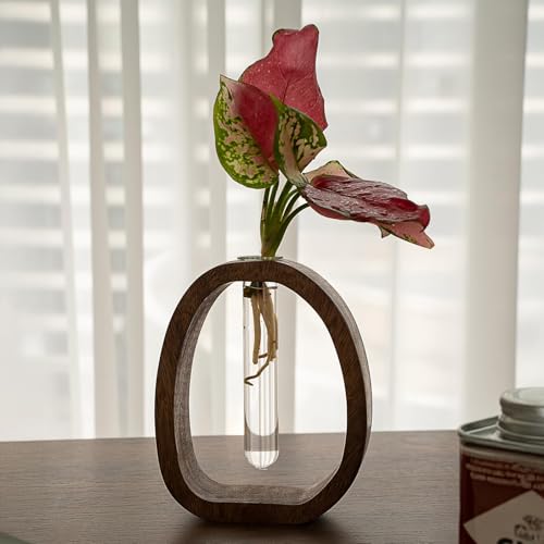 Modern Wooden Glass Test Tube Vase - Desk Plant Decor, Suitable for Home and Office Use - size: Large
