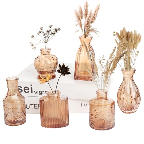 Petal Petite Glass Vase Set of 6 Small Amber Glass Bud Vases, Mini Vintage Flower Vases for Wedding Centerpieces & Table Décor, Champagne Vases in Bulk for Single Stem, Home and Office Decor - color: Amber