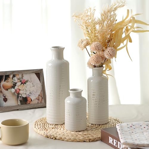 White Ceramic Vase Set of 3, Rustic Vase for Farmhouse Shelves, Ocean Beach Style, Mantle, Fireplace, Coffee Table, Shelf for Living Room - color: 3pcs-crack White