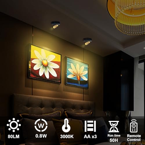 HAMVIDNE LED Spotlight, Battery Powered Spot Lights with Remote, Tree Up Lights Indoor, Dimmable Plants Spotlights, Picture Light for Wall Art Display Dartboard Painting Artwork Accent-2Pack - color: Black-Gold