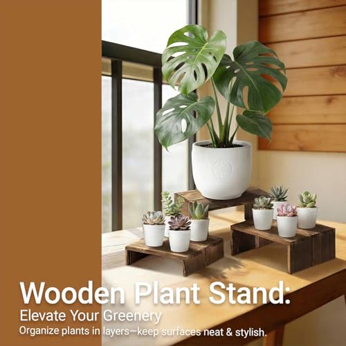 3-Tier Wood Display Riser 2 Set, Tiered Display Stand for Food, Kitchen, Desk & Party - Solid Pine Wooden Shelf & Organizer for Plants, Collectibles, Office (9.5/8.5/7.5 In)