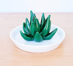 PUDDING CABIN Succulent Ring Holder Dish Cactus Gift for Women Birthday Gift for Mom Friend Bridesmaid Wedding Christmas Valentines Housewarming Gift, Decorative Cacti Decor for Home Gifts - style: Succulent
