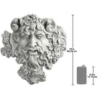 Design Toscano Bacchus, God of Wine Greenman Wall Sculpture: Large - size: Large, 19 Inch