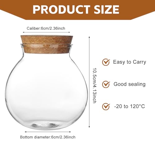 VASANA Airtight Clear Round Glass Jar with Cork Tea Caddy Container Vase Eco Bottle Small Ball Moss DIY Canister for Kitchen Storage Home Decoration 500ml 17oz
