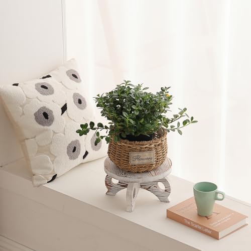 White Wooden Plant Stands Indoor Riser Round Display Stands Farmhouse Display Stool Flower Holder Pedestal Board Pine - color: White, size: Pine
