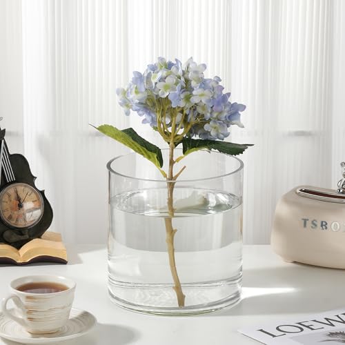 8" Wide 8" Tall Large Hand Blown Sturdy Clear Cylinder Glass Vase, Centerpiece Flower Vase for Rose, Tulip, Boquets, Hurricane Candle Holder (1, 8"x8") - size: 8"x8"