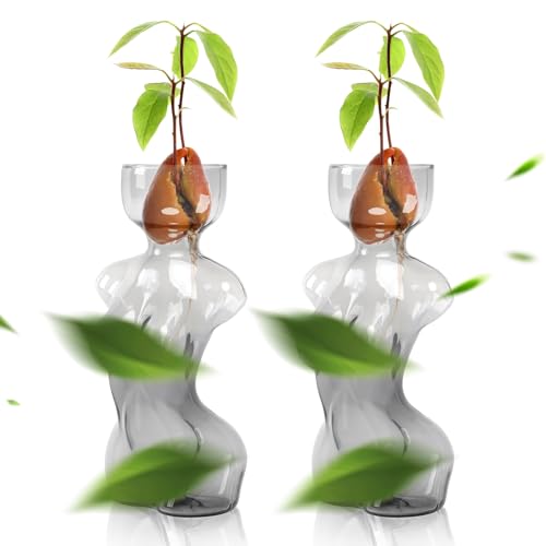Propagation Vases for Plants Plant Propagation Jars Unique Body Avocado Vase Glass Planter Perfect for Seed Starting Water Rooting and Home Decor Gift for Father - color: Gray