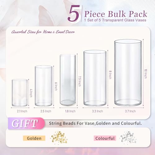 5pcs Glass Vase Cylinder Vases for Centerpieces Small Flower Glass Vases Home Decor Centerpiece Table Clear Flower Vase Decorations for Wedding＆Holiday 4,6,7.5,8,10 Inch Tall - size: 5Pack-4+6+7.5+8+10Inches