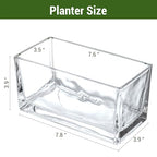 MyGift 7.8 inch Modern Rectangular Glass Vase, Trough Planter, Tabletop Glass Terrarium