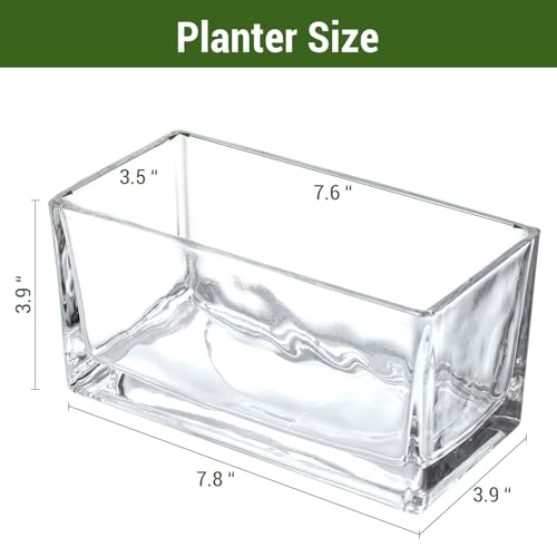 MyGift 7.8 inch Modern Rectangular Glass Vase, Trough Planter, Tabletop Glass Terrarium