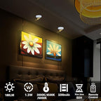 HAMVIDNE Rechargeable LED Spotlight, Indoor Battery Operated Spotlights with Remote, 3 Lighting Modes Up Lights for Plants, Dimmable Timer Picture Lights for Wall Art Painting Tree Spotlight - color: Rechargeable-White-G