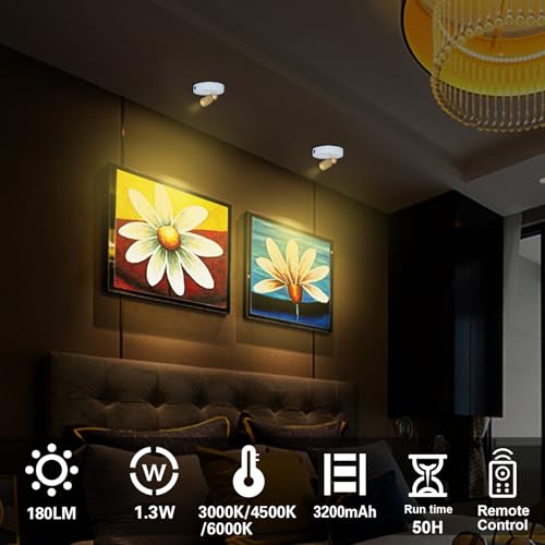 HAMVIDNE Rechargeable LED Spotlight, Indoor Battery Operated Spotlights with Remote, 3 Lighting Modes Up Lights for Plants, Dimmable Timer Picture Lights for Wall Art Painting Tree Spotlight - color: Rechargeable-White-G