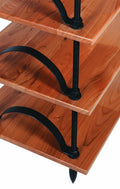 Salamander Archetype Arched Bookends (Set of 4)