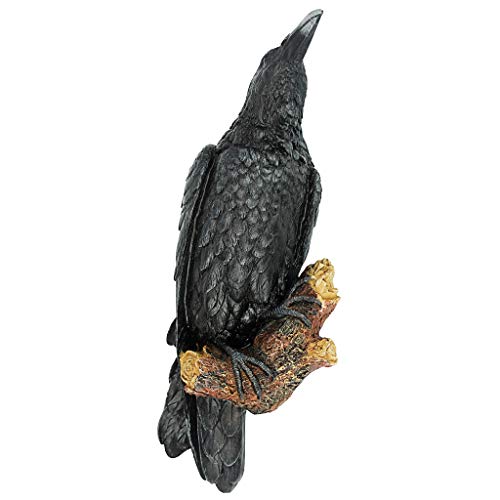 Design Toscano The Raven's Perch Gothic Decor Wall Sculpture, Single