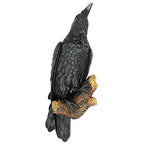Design Toscano The Raven's Perch Gothic Decor Wall Sculpture, Single