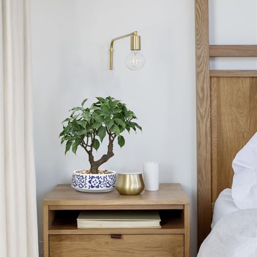 Artificial Bonsai Tree, Small Ficus Bonsai Trees 13" Indoor Bonsais Tree Fake Potted Plant Decorative Fake Desk Plant Decor with Ceramic Pot for Home Office Living Room Bedroom Bathroom Table Shelf - style: French