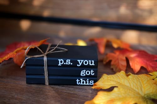 Cute Office Desk Decor, Inspirational Wooden Mini Faux Books for Decoration, Gifts for Women Kids - P.S. You Got This Sign, Black - color: Black You Got This