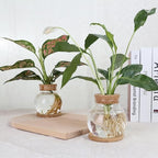 Plant Propagation Station,Hydroponic Glass Container Vase Jars, with Wooden Saucer for Desks, Houses, Garden Decorations, Home Kitchen Decorations and Gifts for Plant Lovers (2)