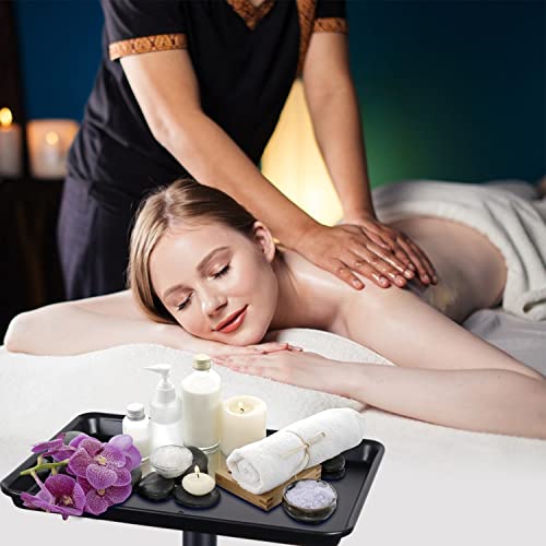 Salon Tray on Wheels, Metal Feet Salon Tray Cart, Salon Rolling Tray with Adjustable Height, Dentist Tray, Tattoo Tray for Salon and SPA Use - color: Dark Black