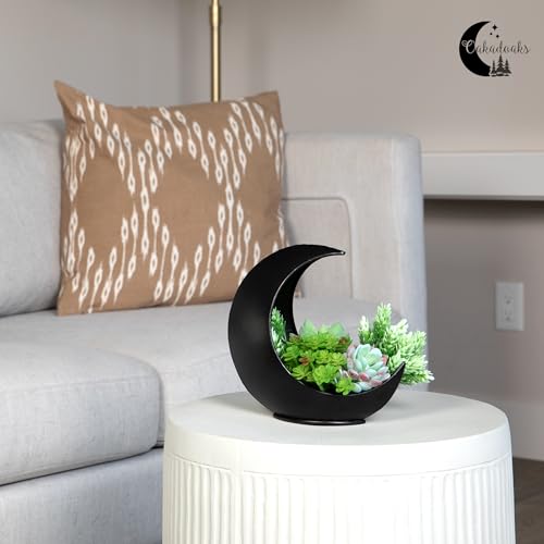 Table Planter - Desk Moon Planter – Candle Holder - Boho Planters for Indoor Plants, Succulents, Air Plant, Cactus, Faux, Artificial Plants -Witchy Gifts for Women, Birthdays, Plant Lovers - color: Black