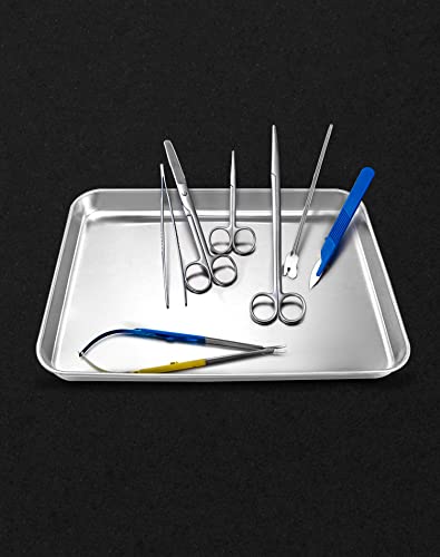 QWORKStainless Steel Utility Tray, Multipurpose Metal Storage Tray for Lab Instruments, Tattoo Supplies, 12 3/16 x 9 7/16 x 1 5/16, 4 Pack - color: 4 Pack, size: 12 3/16" x 9 7/16" x 1"