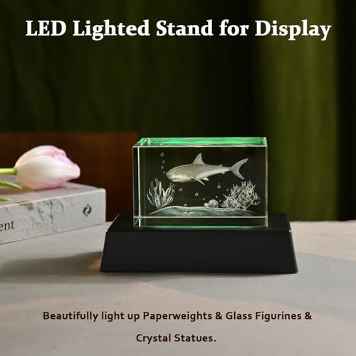 IFOLAINA LED Light Base Multicolor Rectangle Display Stand for Crystal Art Lighted Up Pedestal Color Changing Small LED Base for 3D Glass Home Holiday Party Decor