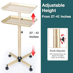 Salon Tray, Champagne Gold Salon Rolling Tray, Salon Service Tray Cart with Adjustable Height, Salon Tray on Wheels, Ideal Use As Tattoo Tray&Deantal Tray, No-Rusting - color: Champagne Gold