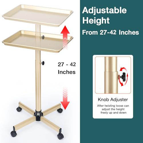 Salon Tray, Champagne Gold Salon Rolling Tray, Salon Service Tray Cart with Adjustable Height, Salon Tray on Wheels, Ideal Use As Tattoo Tray&Deantal Tray, No-Rusting - color: Champagne Gold