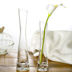 25cm/9.8inch Tall Clear Glass Thin Narrow Necked Bud Vase Slim Single Stem Flower Vase Floral Vase Centerpiece for Wedding Party Home Table Decor - size: 25cm/9.8inch