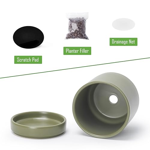 D'vine Dev Set of 2 Plants Pots, 3.5 Inch Ceramic Planter Pot for Plants with Drainage Hole and Saucer, Olive, 94-V-A-J - color: Olive, size: 3.5 Inch