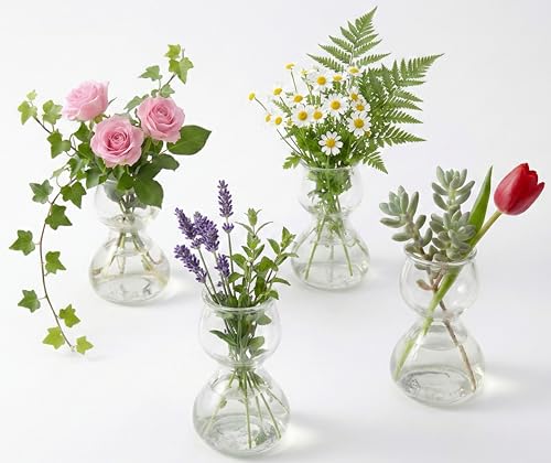 Garden Guru Plant Propagation Stations - Clear Glass Bud Vases Set of 4 - Mini Vases for Wedding Centerpieces, Cafe Décor, Tea Shop Displays - Small Hydroponic & Flower Vase - size: Set of 4