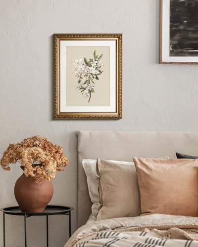 HUARCEY Vintage Floral Illustration Framed Canvas Wall Art 13x16 Inch, Ornate Embossed Gold Frame Classic Botanical Flower Print, Elegant Traditional Living Room Bedroom Office Home Decor - color: Azalea, size: 16"L x 13"W